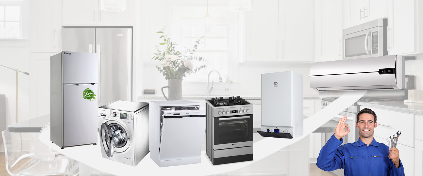Eceabat Dominox Servisi